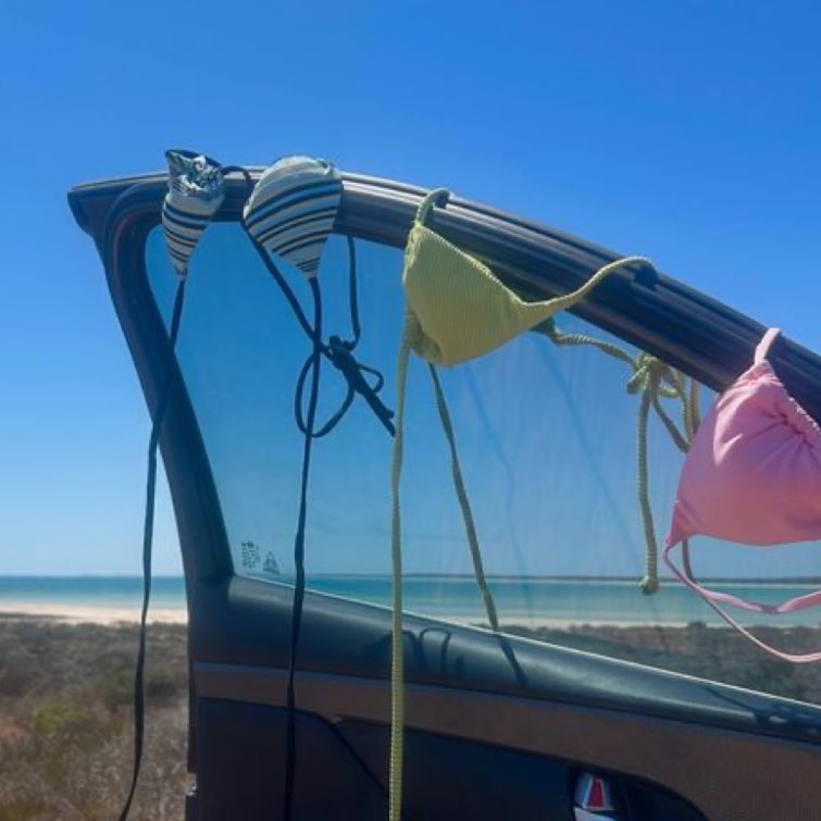 caity💋 tweet media