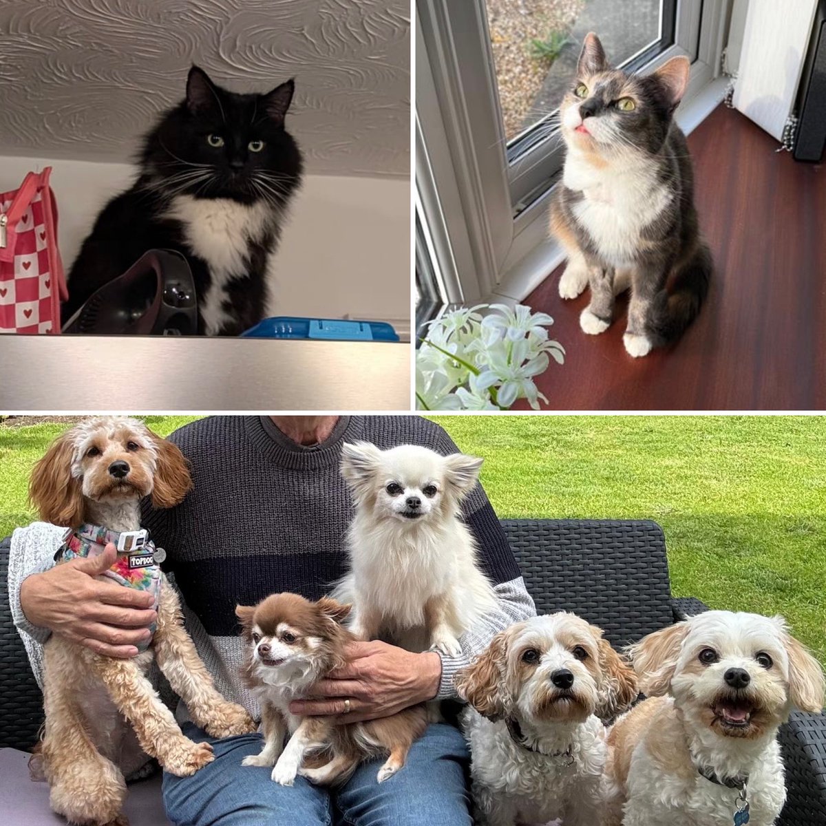 CallEEAST tweet media