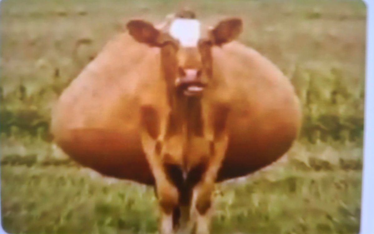 Moslems this month at 4am