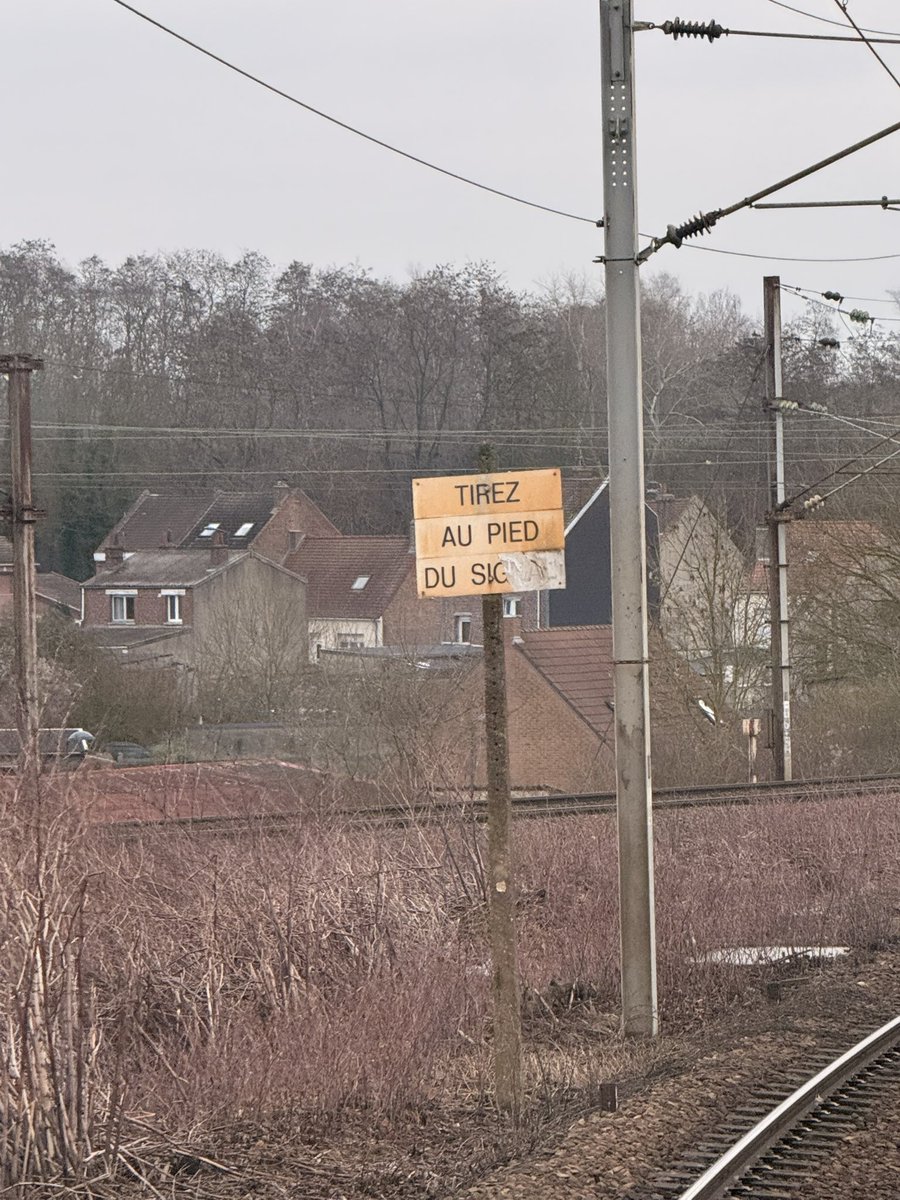 𝔾𝕣𝕖𝕘 tweet media