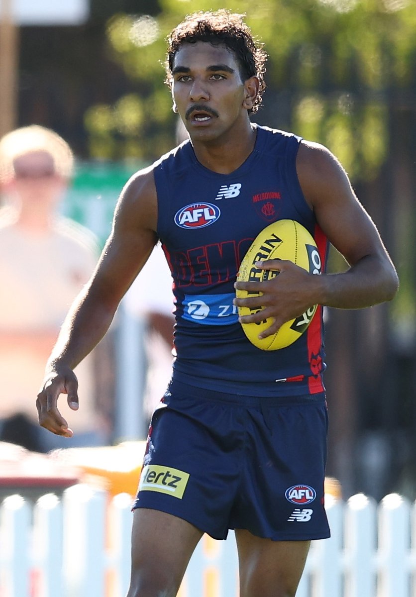 Melbourne Demons tweet media