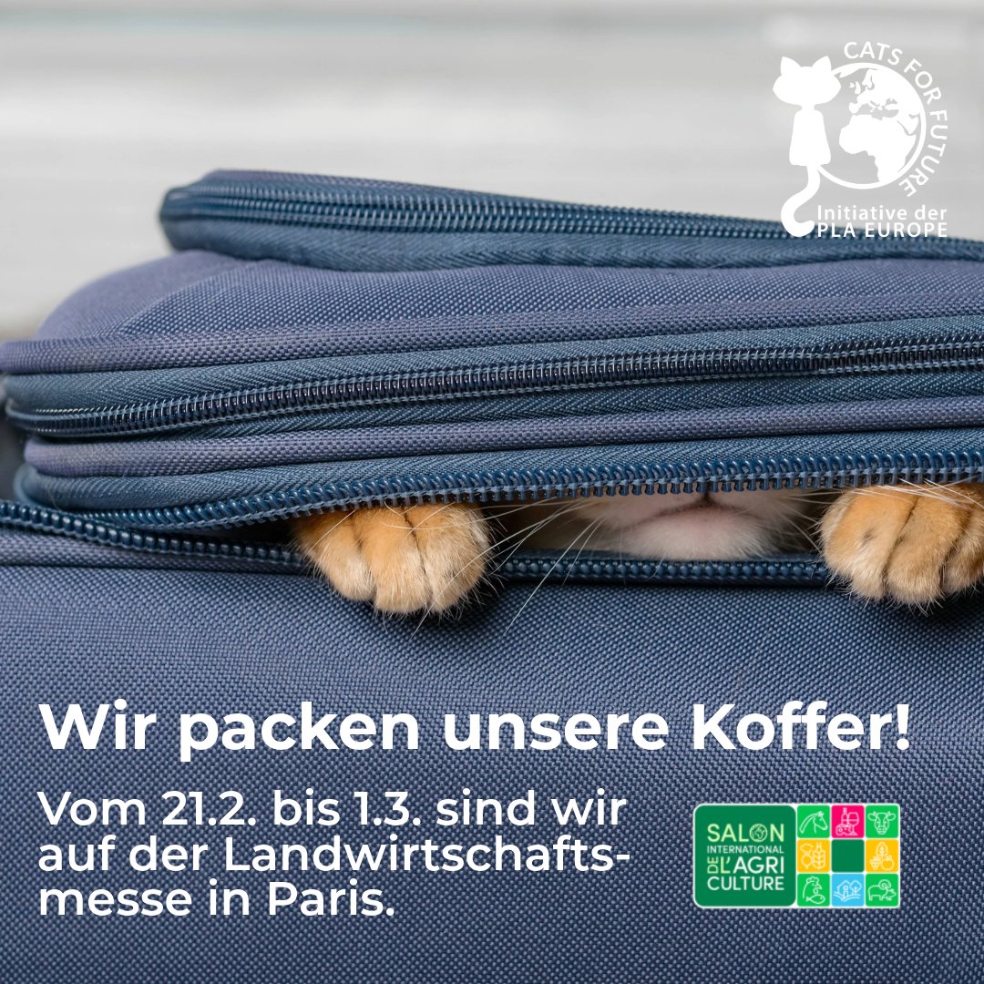 Cats for Future tweet media