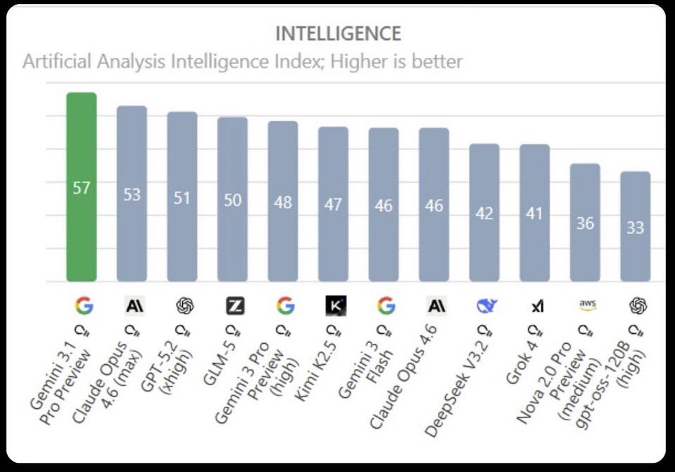 Haldun Akoglu tweet media