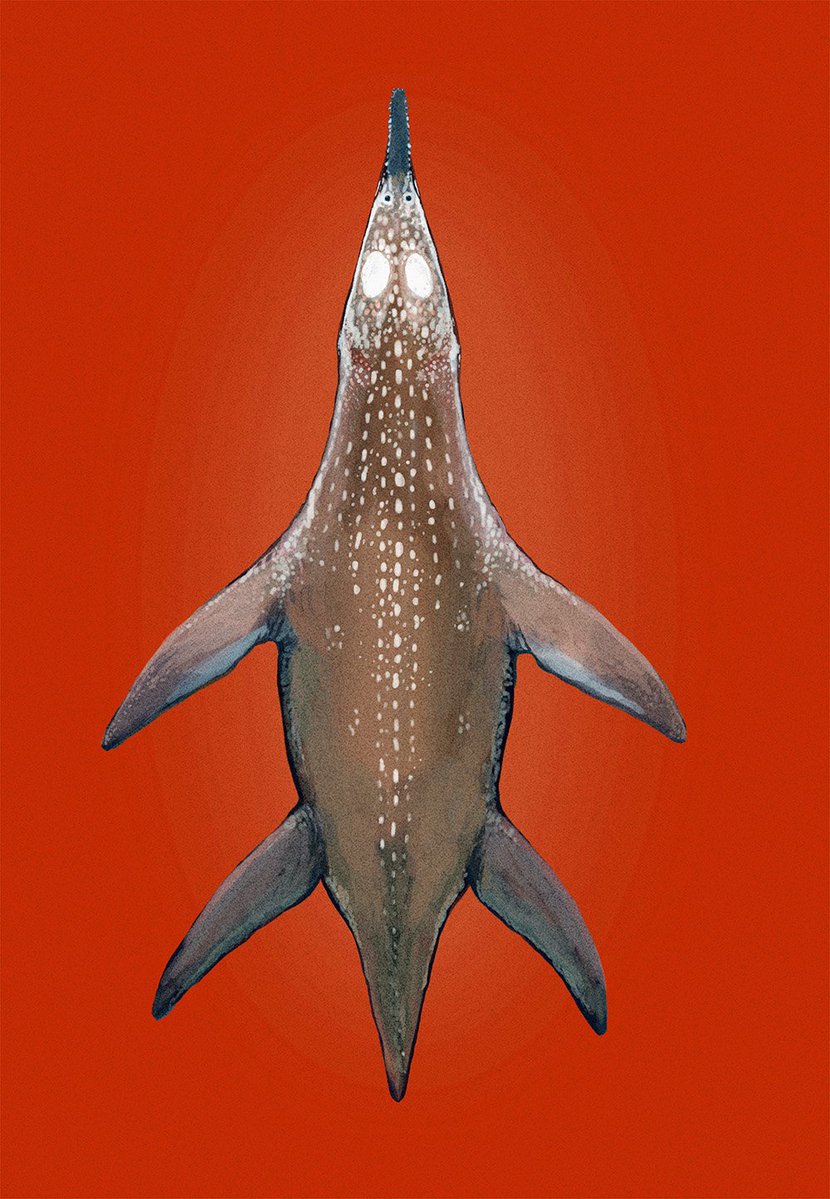 cmkosemen's tweet image. I was so dang right! (Blubber-insulated thick &amp;amp; streamlined Polycotylus I painted in 2013)