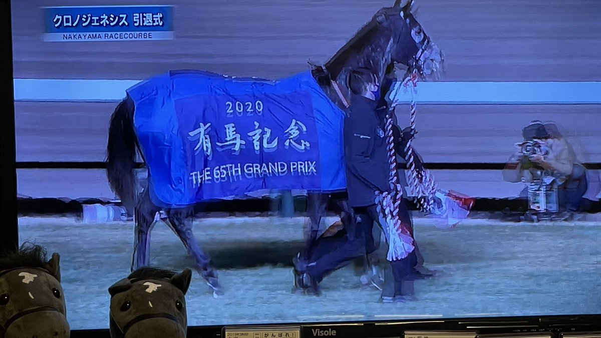 秋華賞ぬいの時より)色が白くなってる⁉️