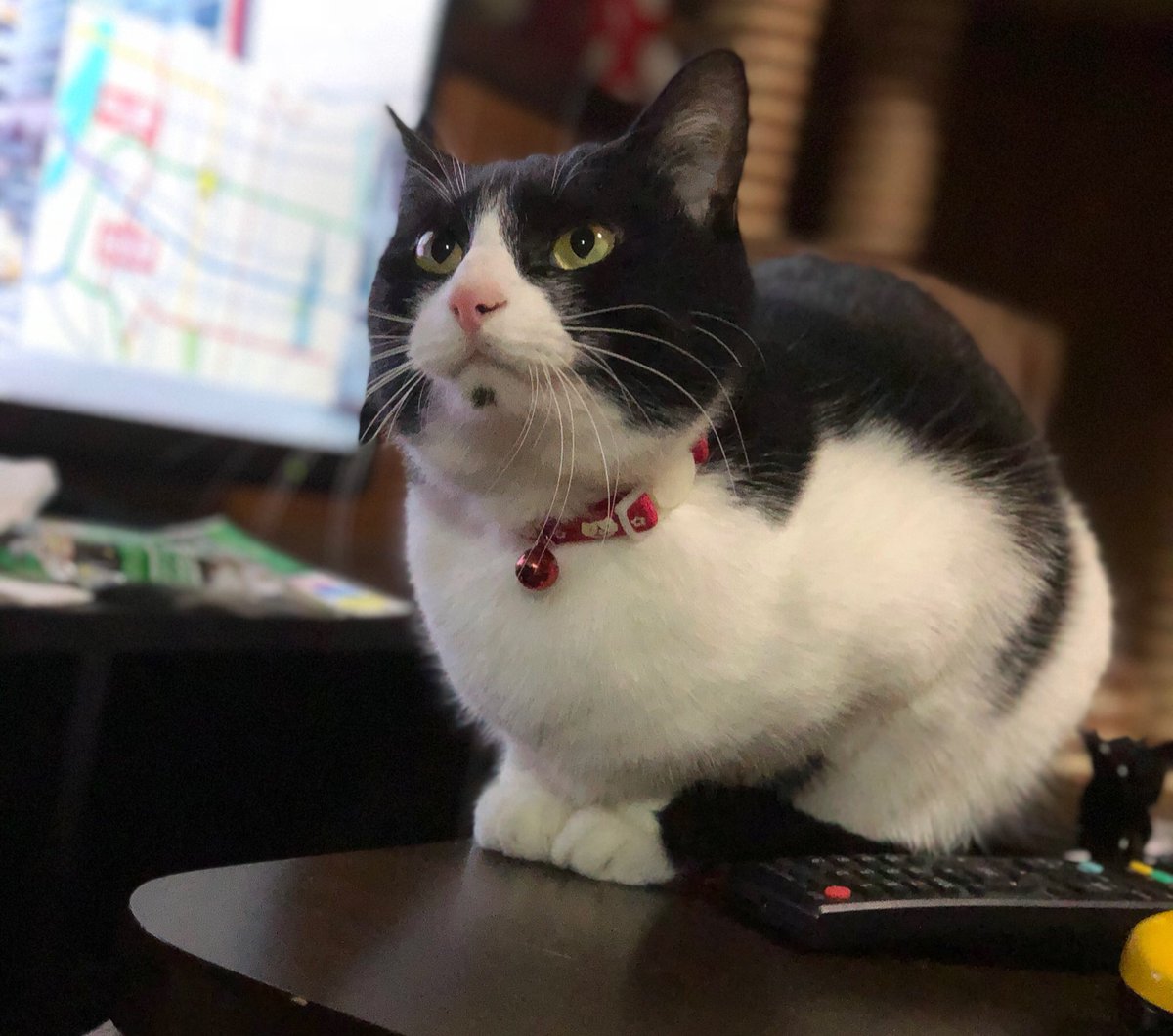 ▶︎miroku369ページ 綺麗になった⌯•͈ ₃ •͈⌯ಣ