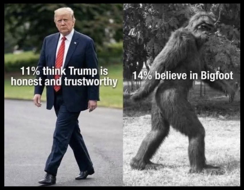 kangaroos991's tweet image. OMG! This cannot possibly be true? 🤔
First, the 11% who think he's 'honest and
trustworthy' are either 'blind' or part of
his #TrumpCult who think he can 'walk'
on water? Second, Bigfoot exists only in
the mind of crazy conspiracy theorists?

#TrumpIsUNFIT #WorstPresidentEVER
