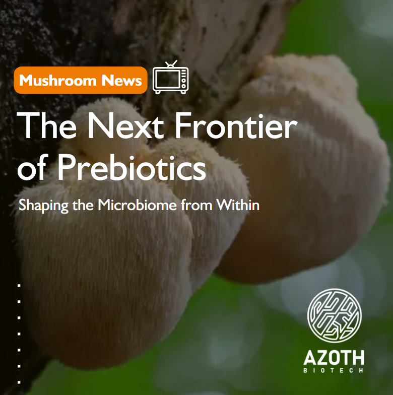 azoth_biotech's tweet photo. Functional  mushrooms are widely recognized for vitality and performance - but  emerging research shows their influence starts much deeper, at the  microbiome level.

At Azoth Biotech, this science drives how we develop and extract mushroom bioactives.

#AzothBiotech https://t.co/Fx8Dolt3U2