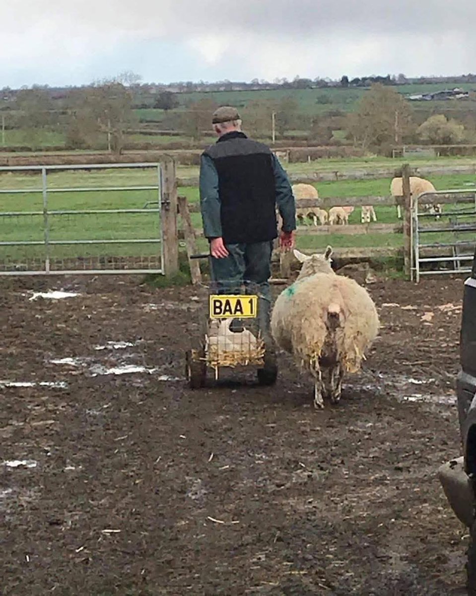 FarmingUK tweet media