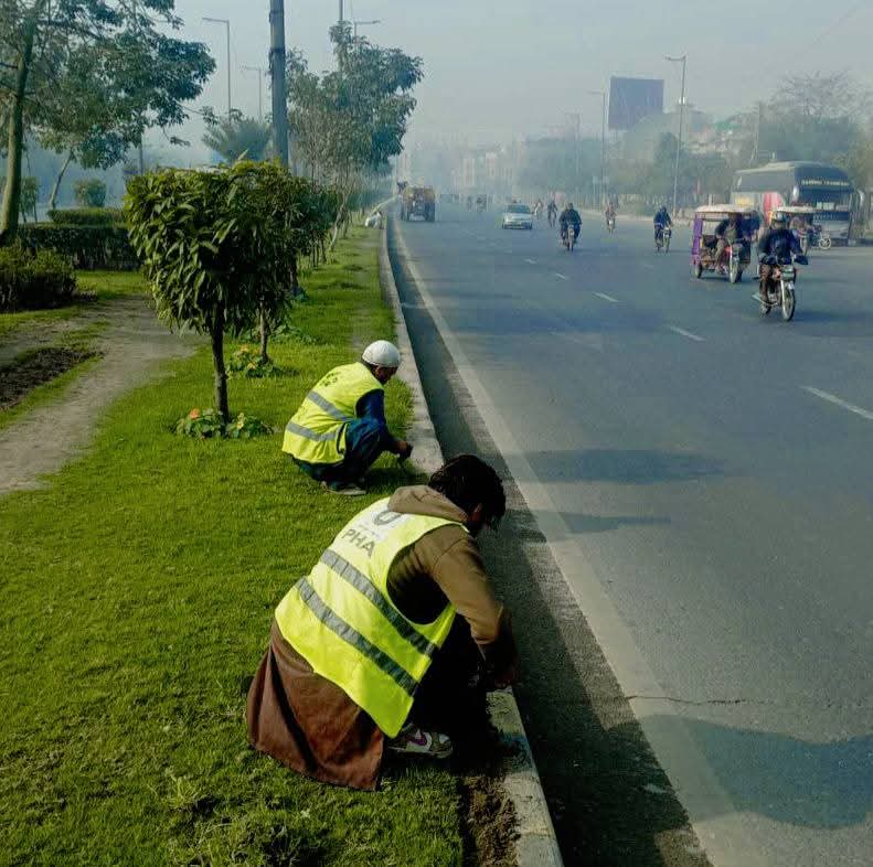 PhaLhr's tweet photo. وزیر اعلی پنجاب محترمہ مریم نواز شریف صاحبہ کے گرین پنجاب ویژن کے تحت پی ایچ اے لاہور کے ملازمین شہر میں شاہراہوں ، گرین بیلٹ اور پارکوں میں ہارٹی کلچر کا
کام کررہے ہیں ۔
@GovtofPunjabPK
@MaryamNSharif
@Marriyum_A
#lahore #green #horticulture #lahori https://t.co/rzMEbWXxTE