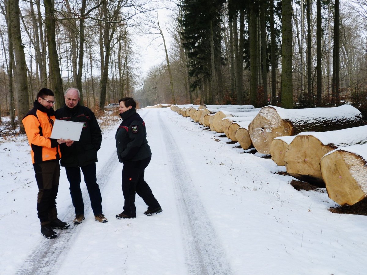 MWL Sachsen-Anhalt tweet media