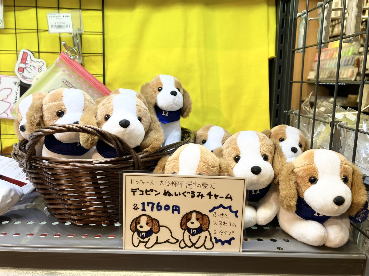 あの #大谷翔平 選手が、愛犬のデコピンを主役に絵本を作りました