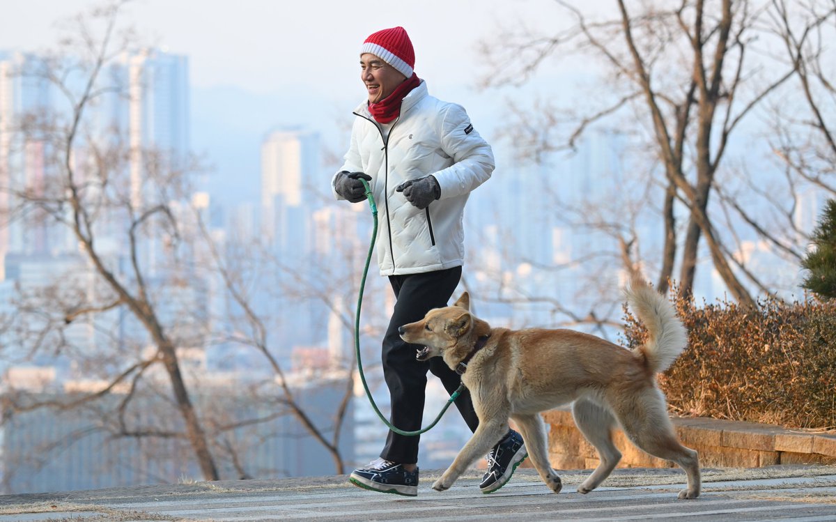 김진태 tweet media