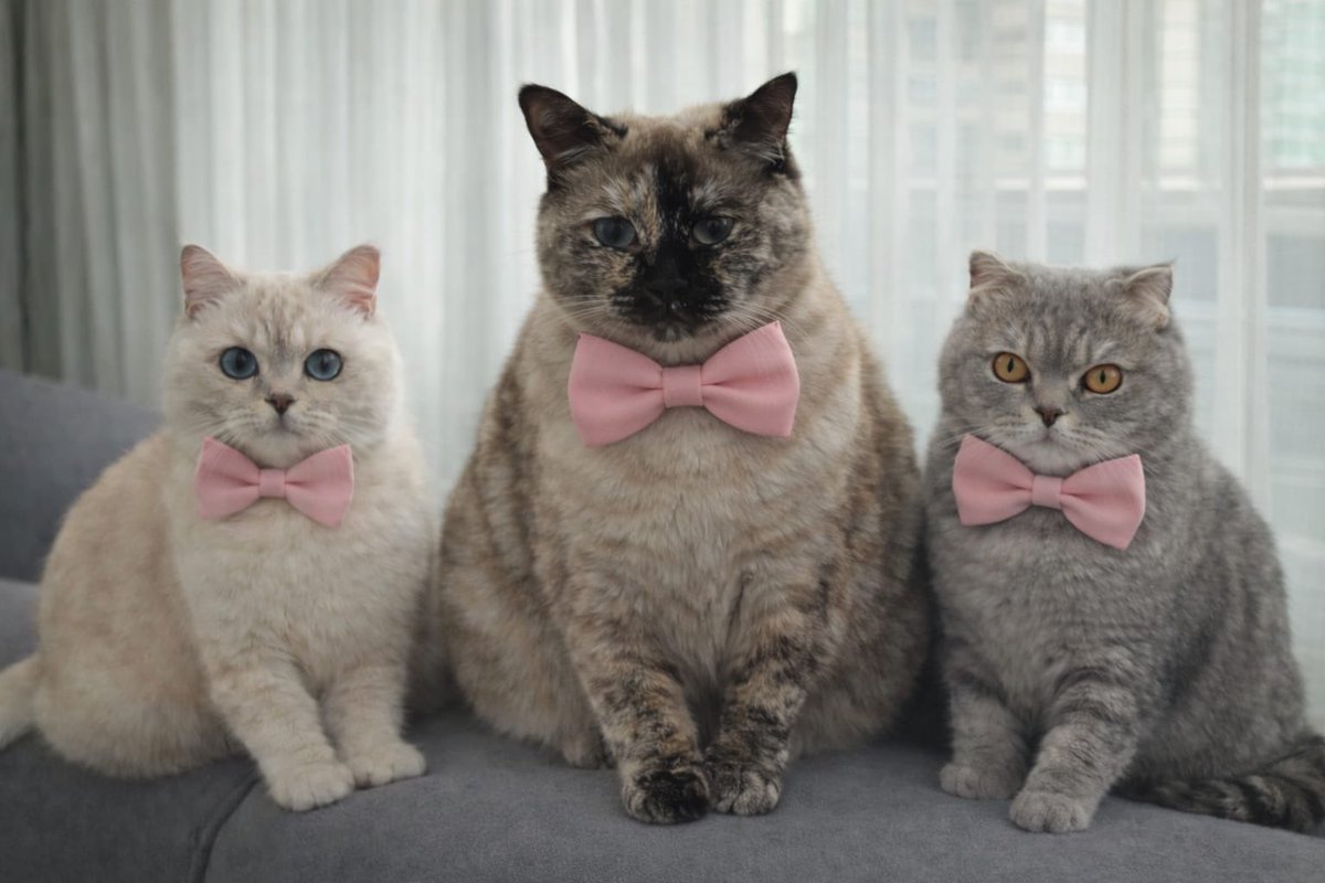 #EDefterYıllıkOlsun