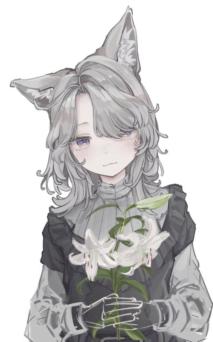 らふ