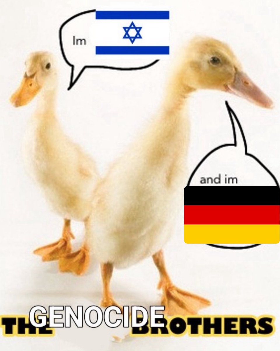 Omar El Fares 🇵🇸 عُمَر الفارس (@3lfares) on Twitter photo 