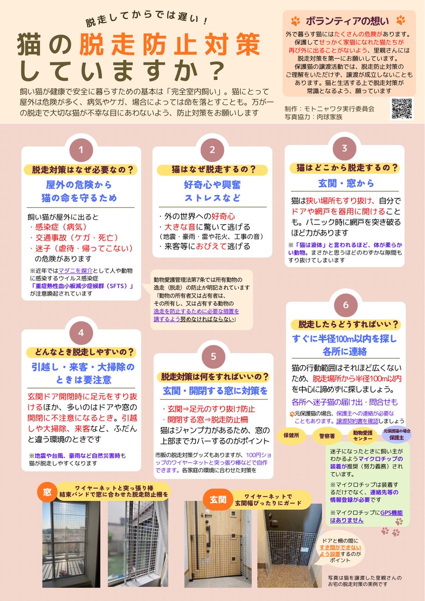 😺2/22猫の日は譲渡会へGO！

【2/22(日)モトニャワタ譲渡会＠全日警ホール】
14:00〜16:00

予約なしのご参加可能です！