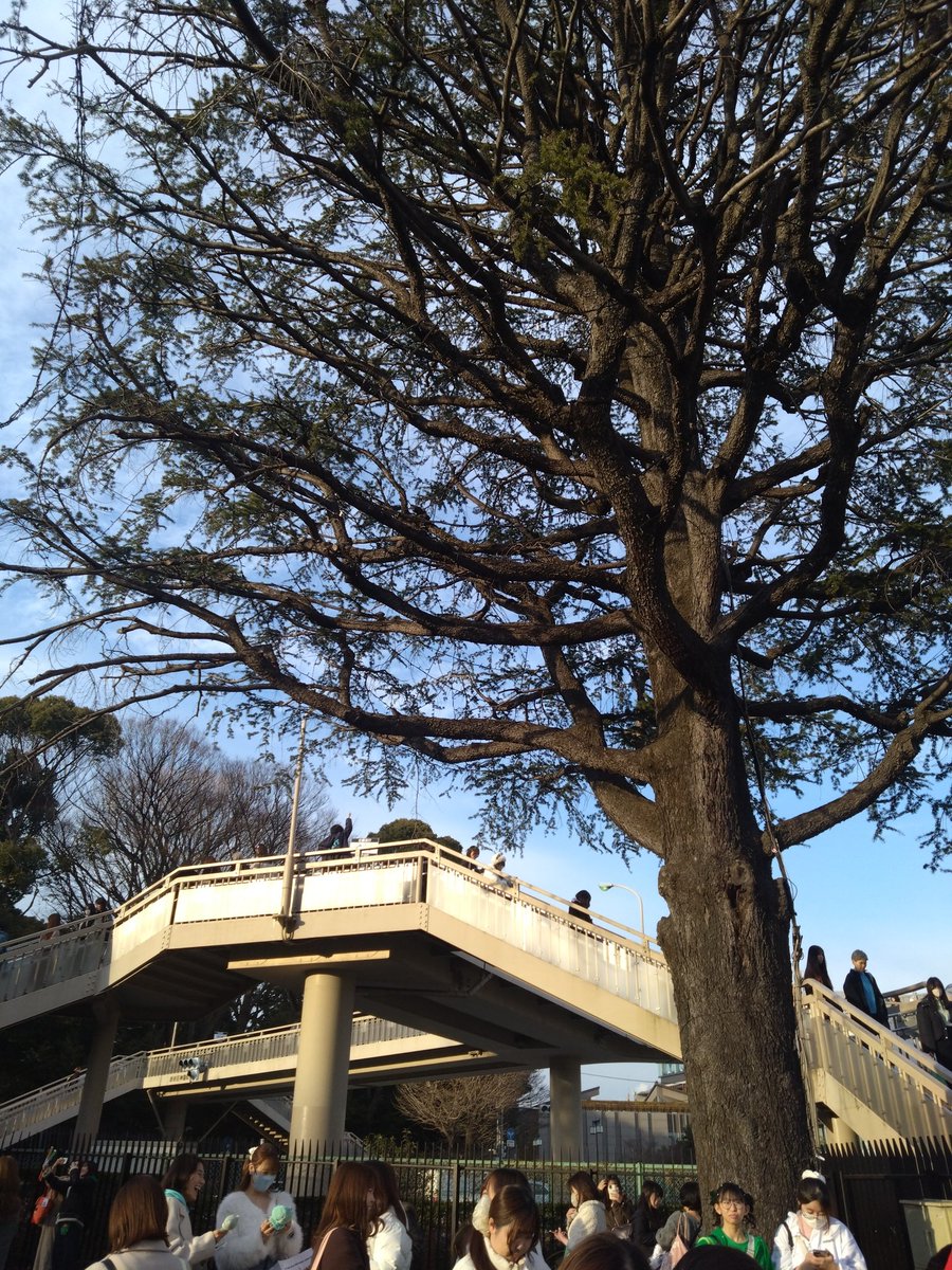 さら tweet media