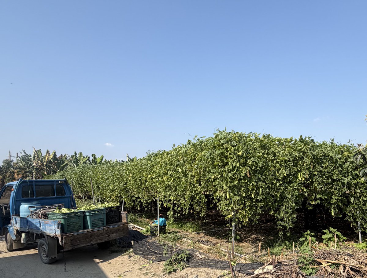 司機小白 tweet media