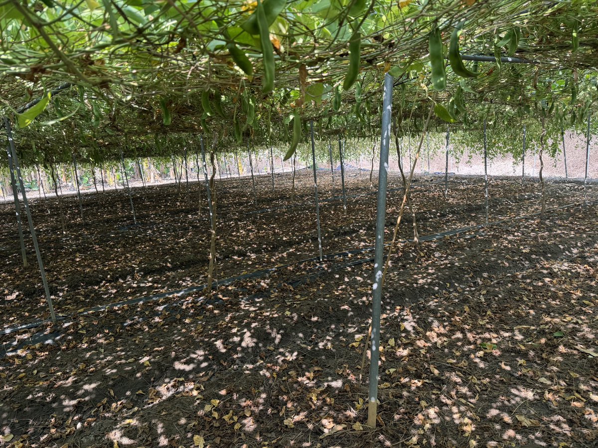 司機小白 tweet media