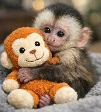 Rüyamda şaşalı bir hayat yaşarken, sabah alarm çalıp uyanınca fakir olduğum aklıma gelmiştir 😁