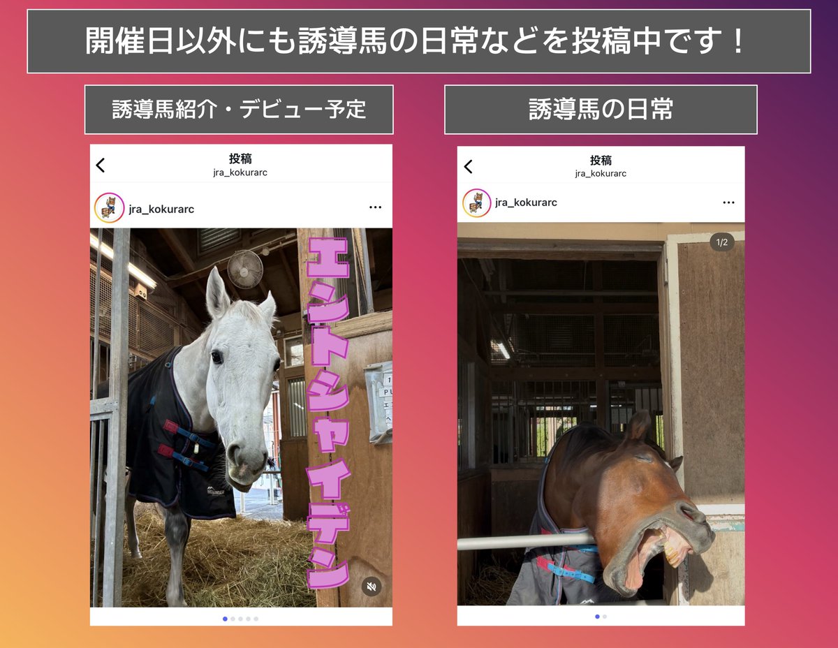 JRA福島競馬場 (@JRAFUKUSHIMA) / Posts / X