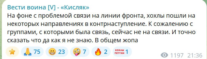 Митяй tweet media
