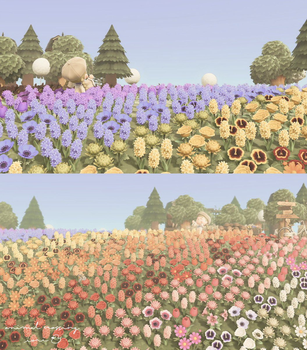 𝑖𝑜𝑟𝑖ꕤຼ˗ tweet media