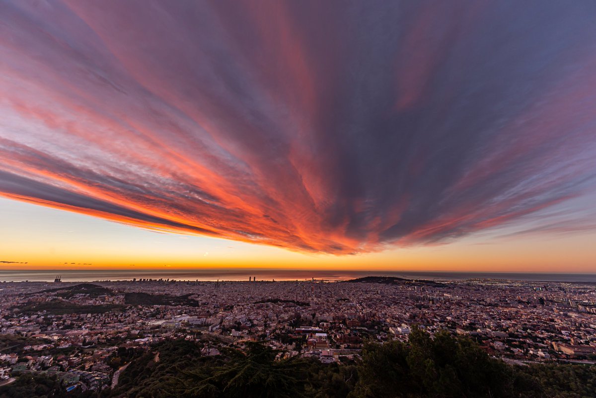 Alfons Puertas tweet media