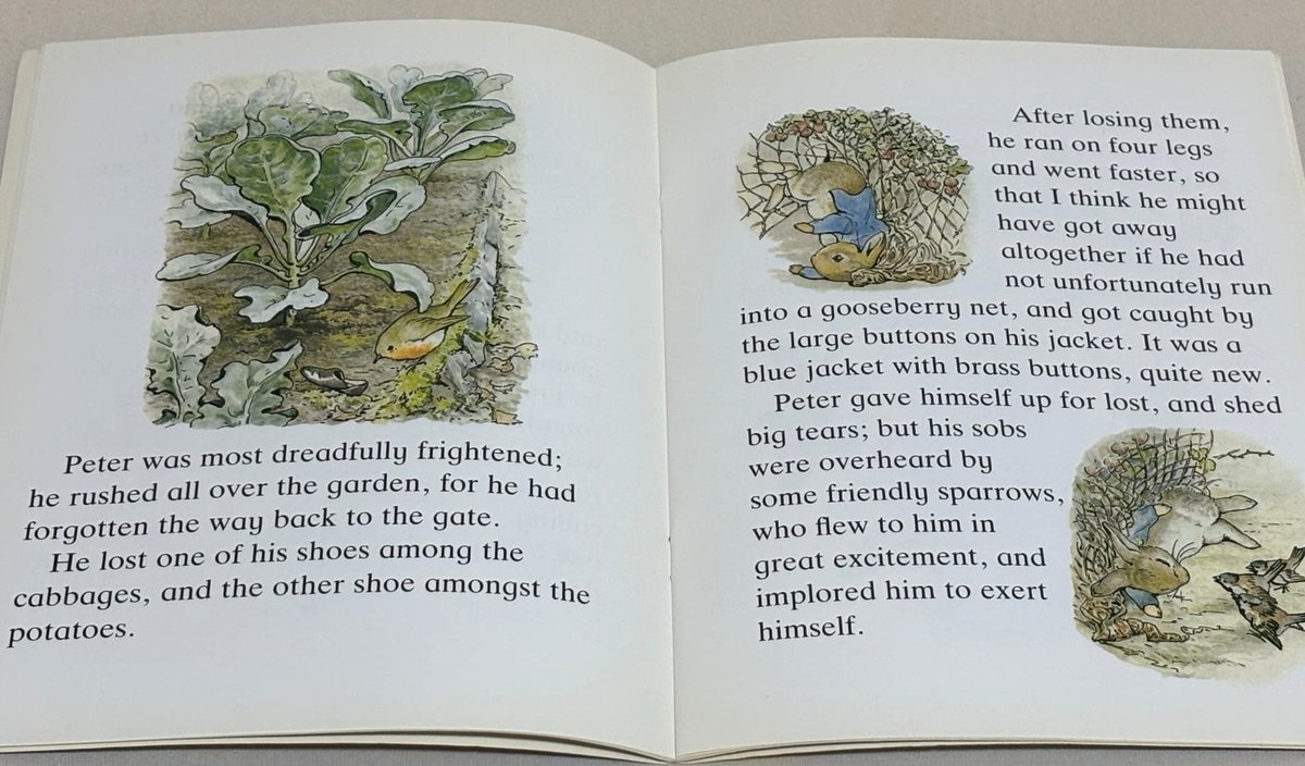 英語絵本】🐰📘 The Tale of Peter Rabbit 100年以上愛され続ける英語
