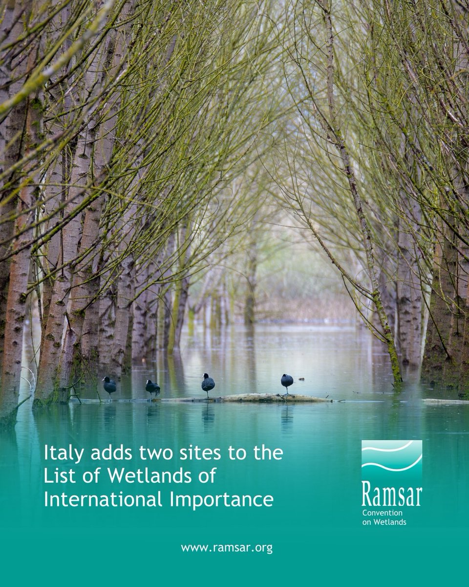 #ExcitingNews: Italy has designated two new Wetlands of International Importance in the region of Toscana (Tuscany).

🔸Padule di Scarlino  on the south-central coast of the region is a remnant of a formerly more extensive marshland, which remains connected to other coastal