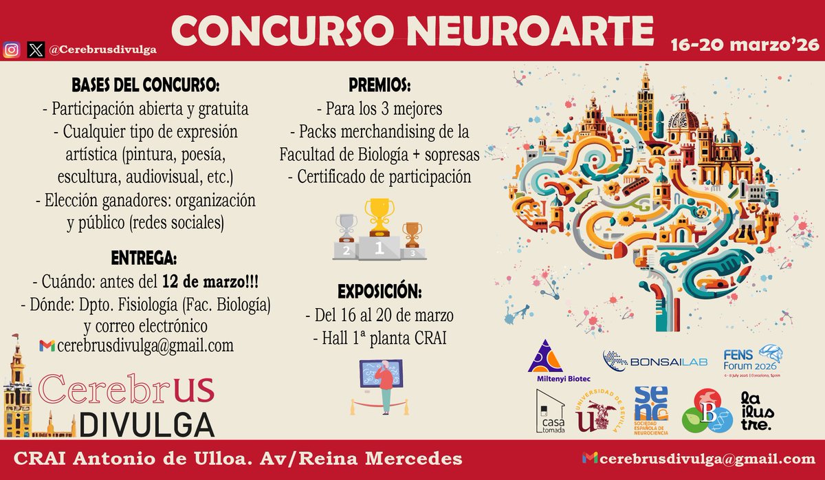 CerebrUS divulga tweet media