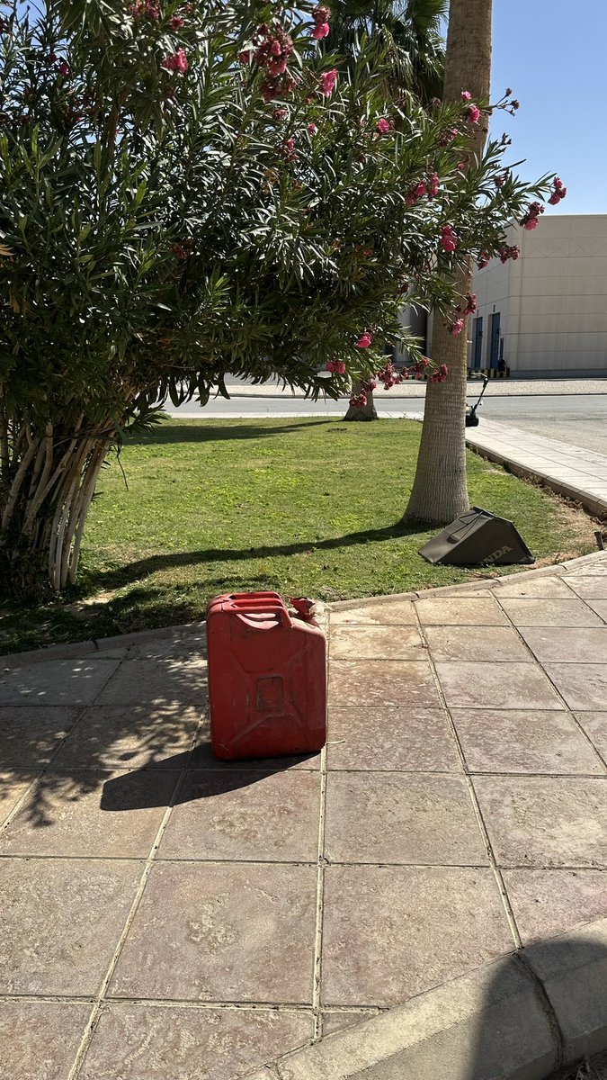 الناس تشوفه كذا 👇.                     انا اشوفه كذا 👇