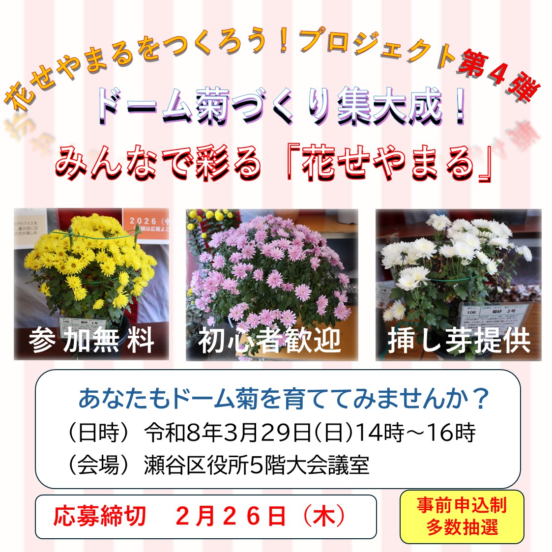 【「花せやまる」をつくろう！プロジェクト第４弾】
ドーム菊づくり、集大成！～みんなで彩る「花せやまる」～
ドーム菊を育てて、GREEN×EXPO 2027を一緒に盛り上げよう✨
日時：3月29日(日)14時～16時
会場：区役所5階大会議室
申込み：2月26日まで
詳細は瀬谷区WEBへ
city.yokohama.lg.jp/seya/kurashi/k…
#瀬谷