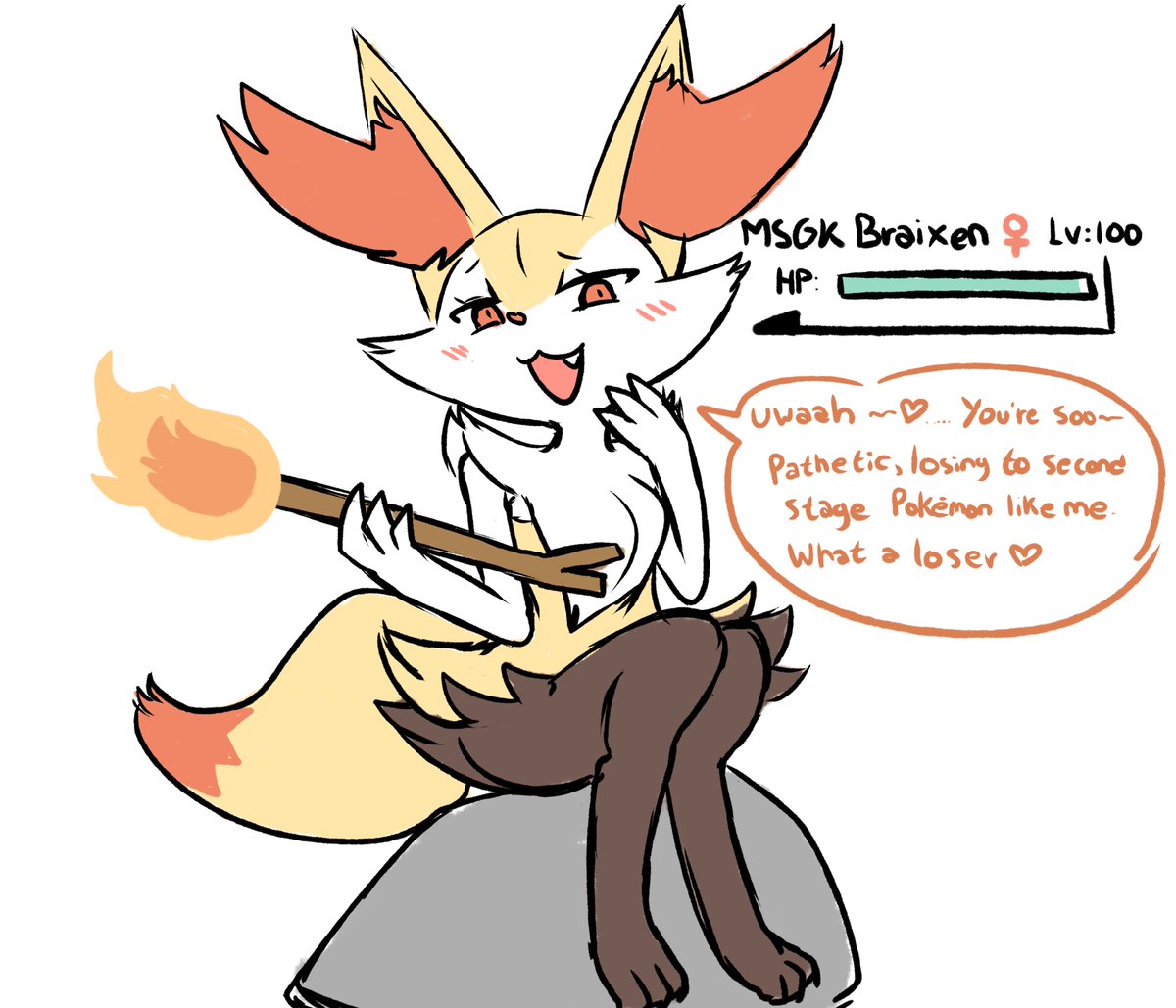 msgk braixen