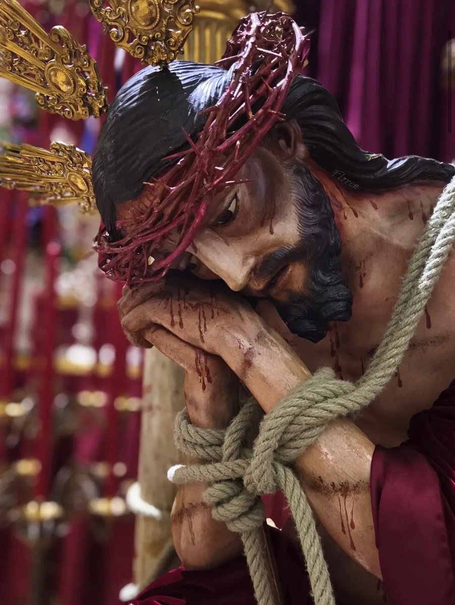 Dulce Nombre Estepa tweet media