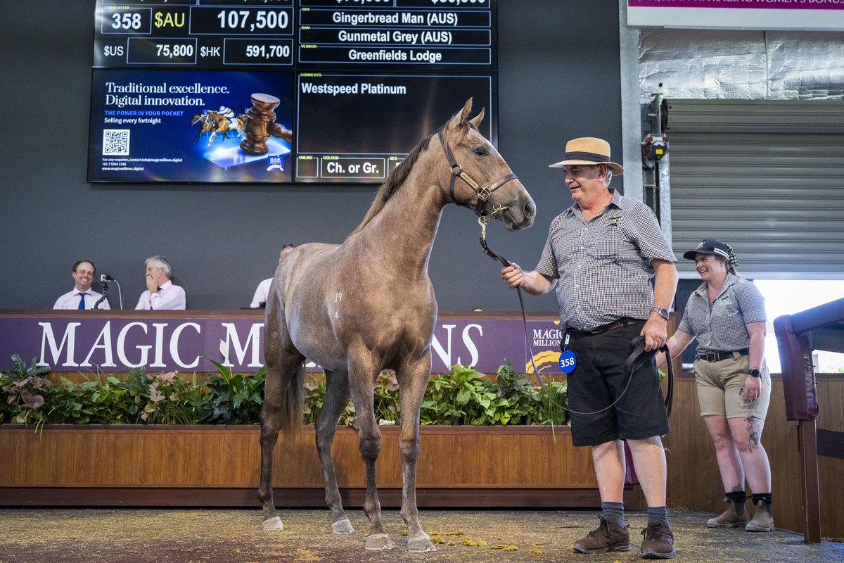 Western Racepix tweet media