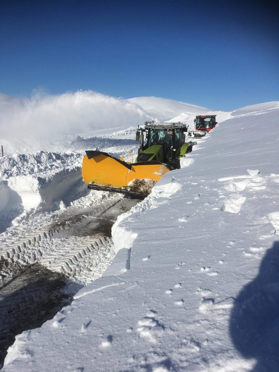 Iain Cameron tweet media