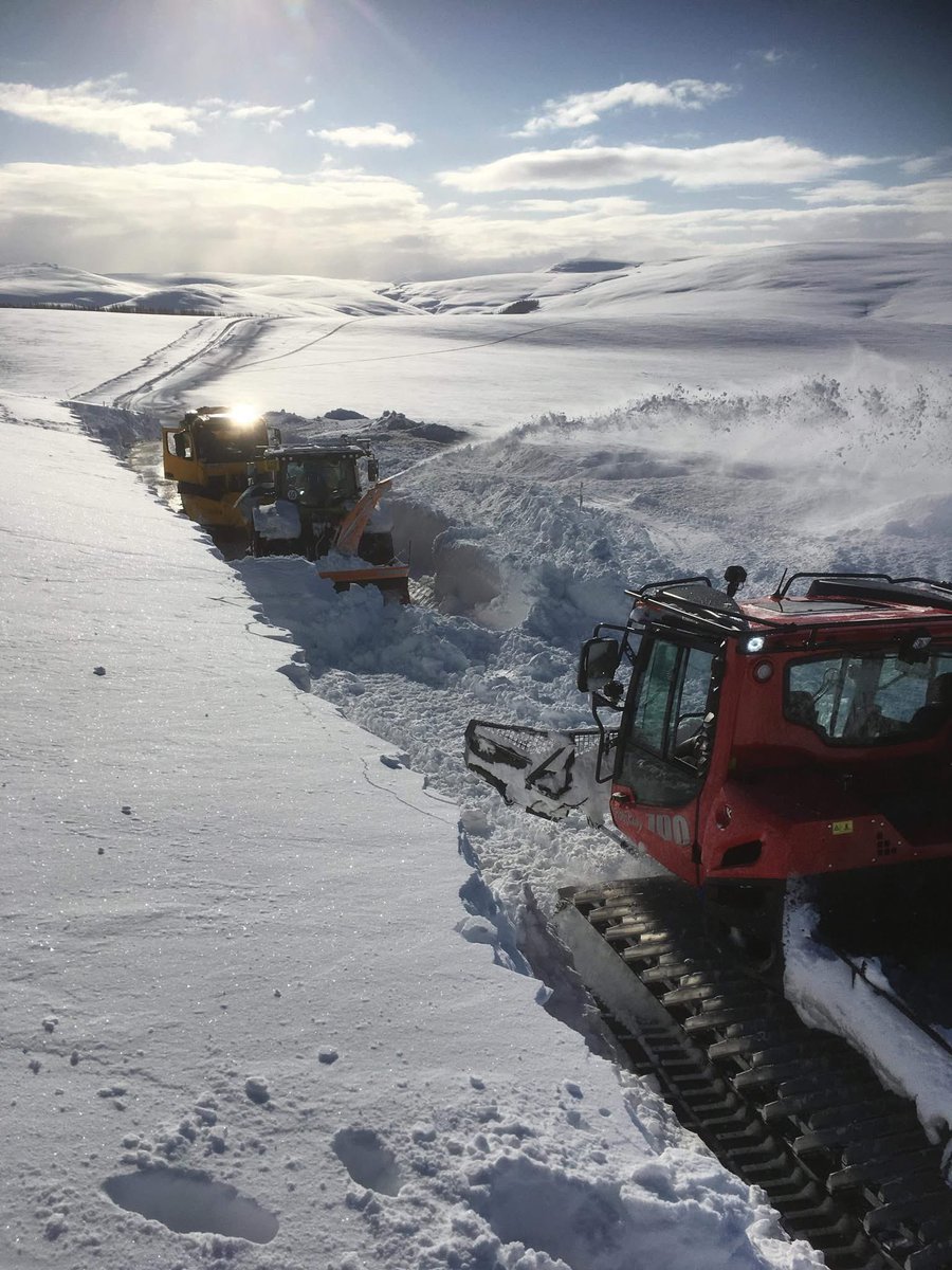 Iain Cameron tweet media