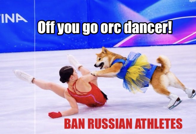 Surf Fella tweet media