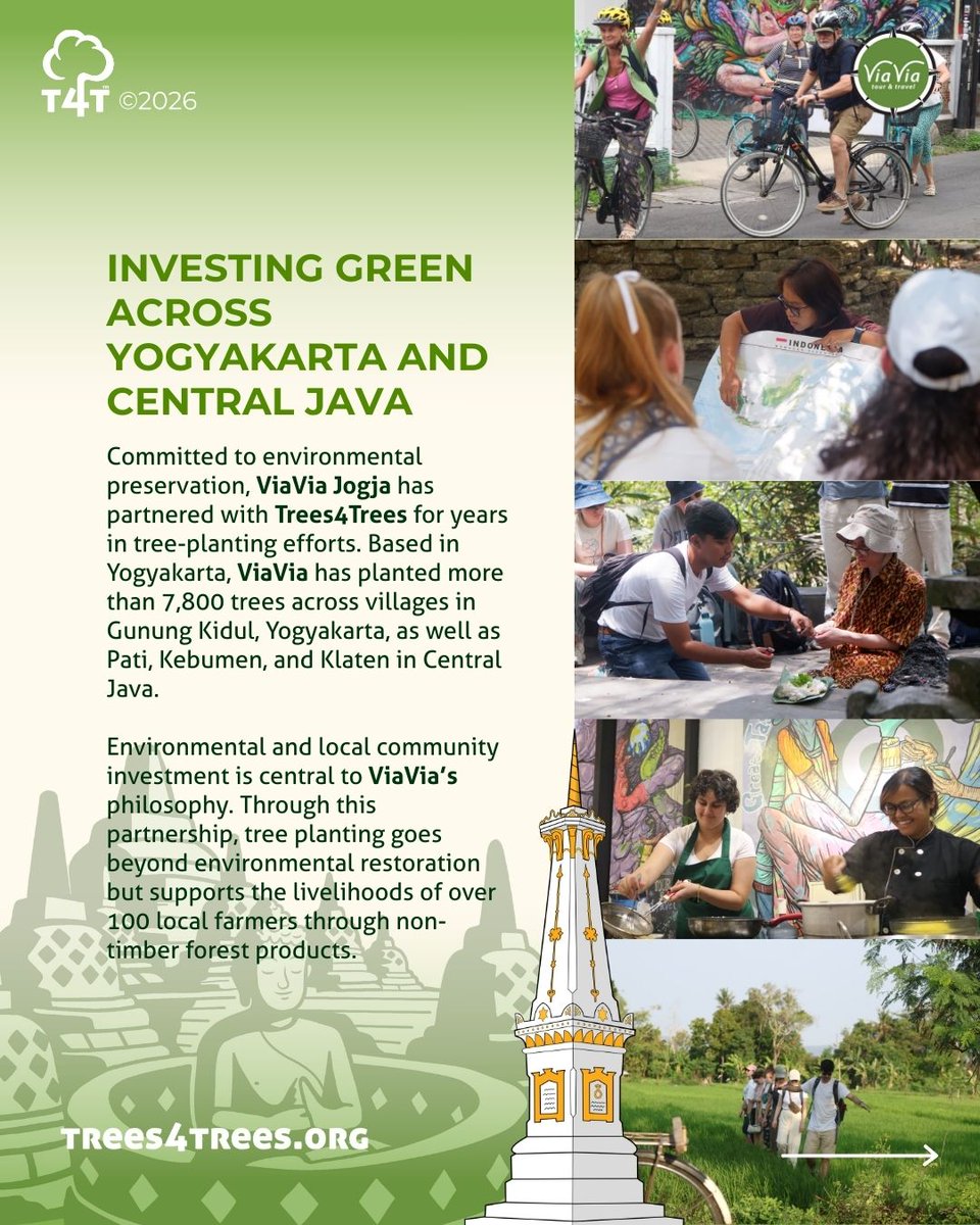 Trees4Trees tweet media