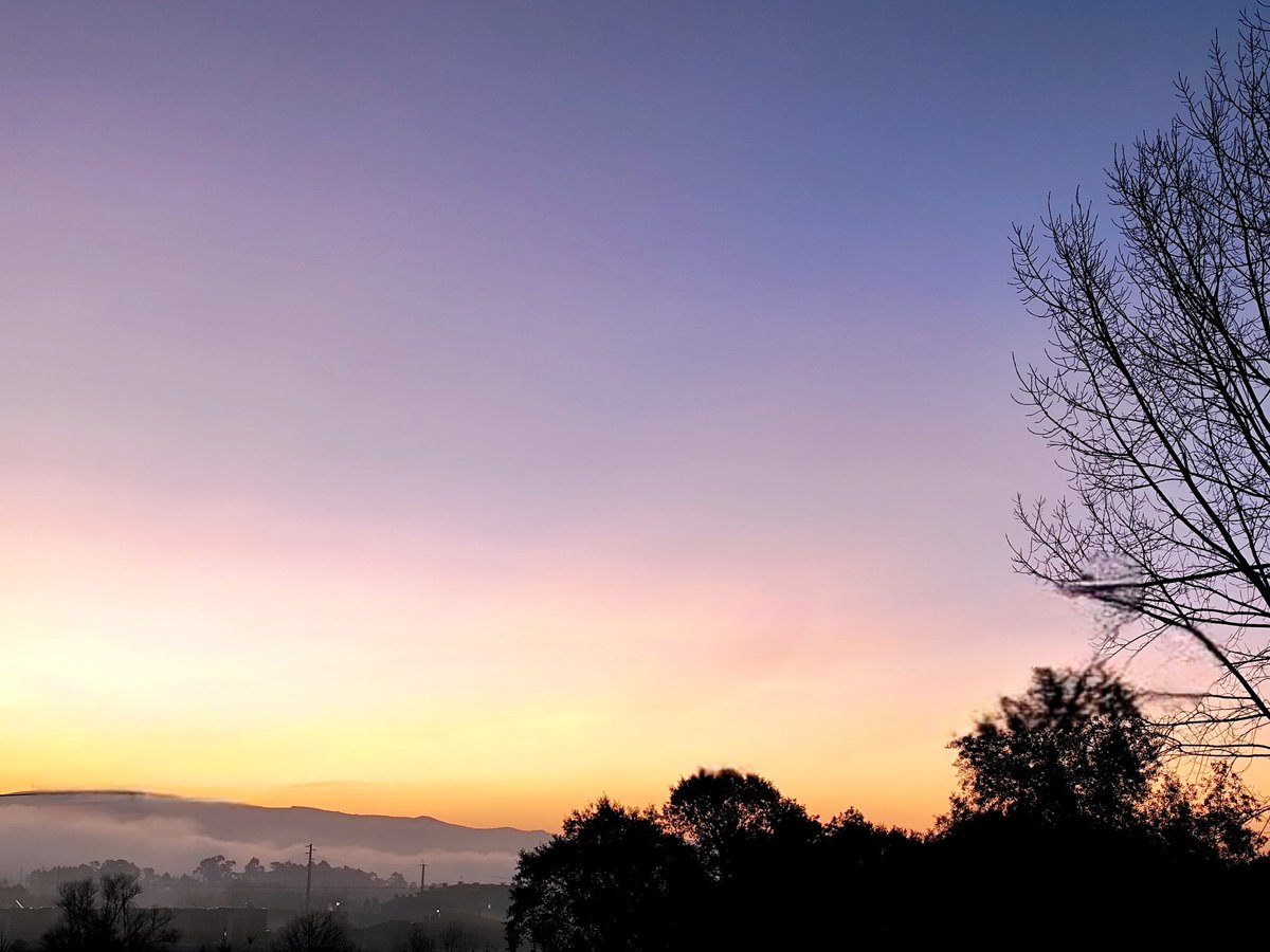 Bom dia! Entre o despertar do sol e o abraço da neblina, da varanda do meu quarto estava assim pintado o horizonte com a Serra do Caramulo em fundo. Boa 6°f
#ruifototerapia 
#NoCoraçãodaBairrada