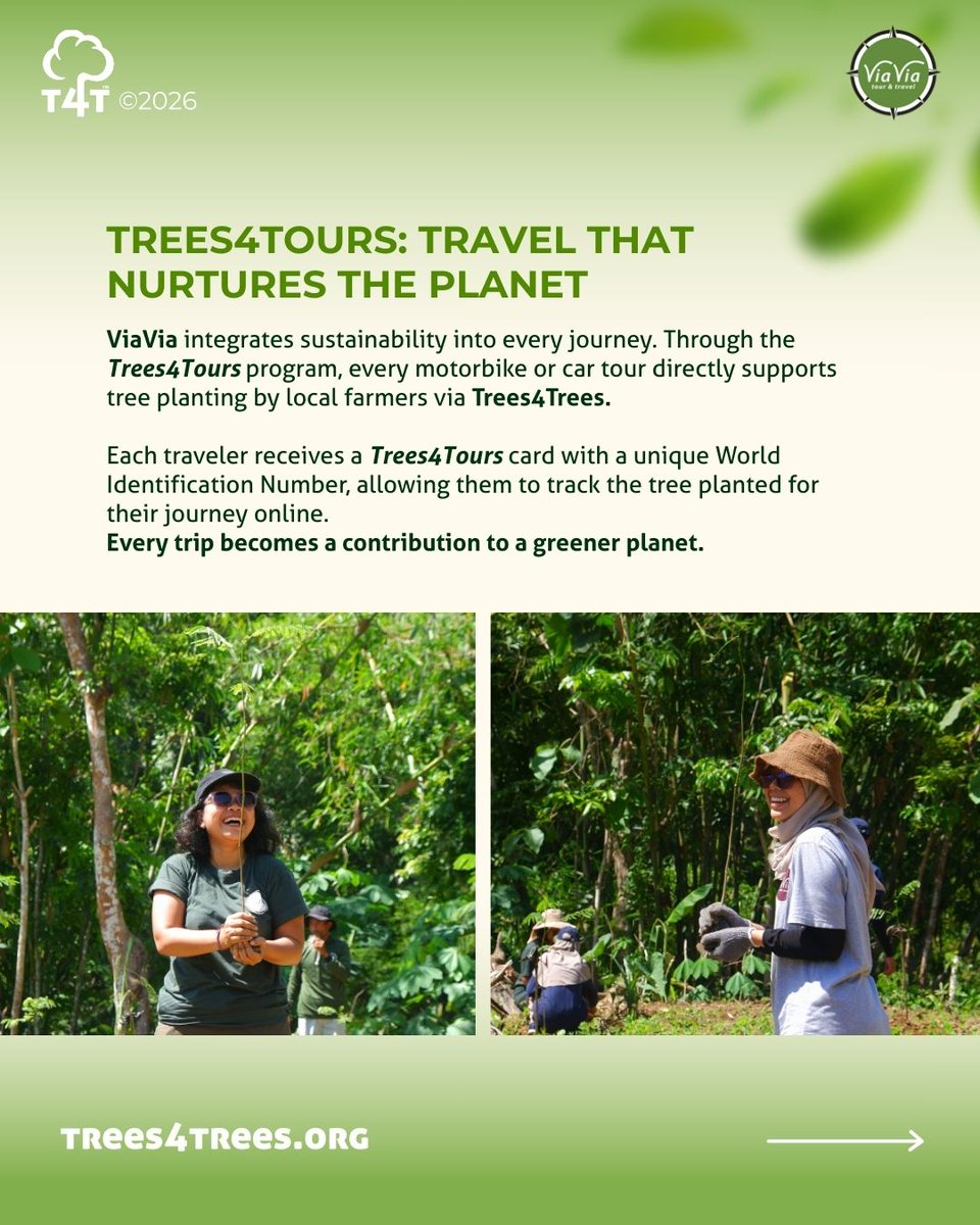 Trees4Trees tweet media