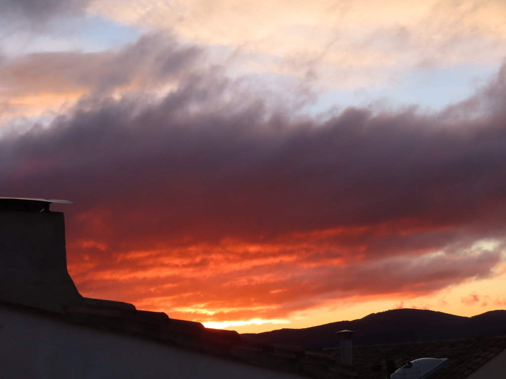 Juan Amela tweet media