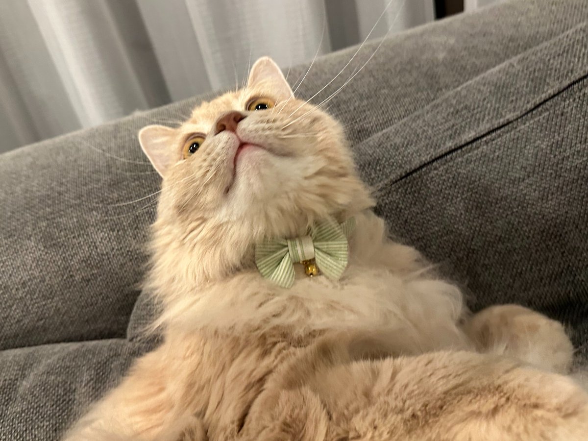 メルカリ (@mercari_jp) / Posts / X