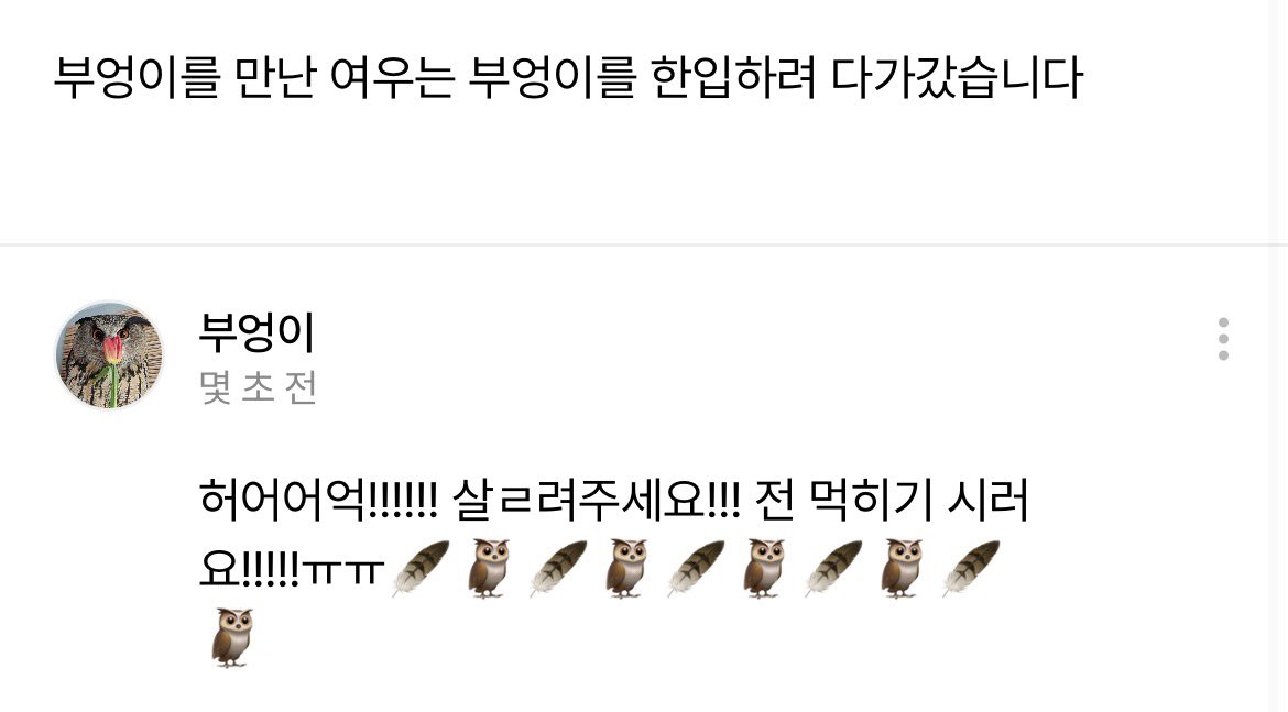 살려주세요!!!!!!🦉🪶🦉🪶🦉🪶🦉🪶🦉🪶🦉🪶