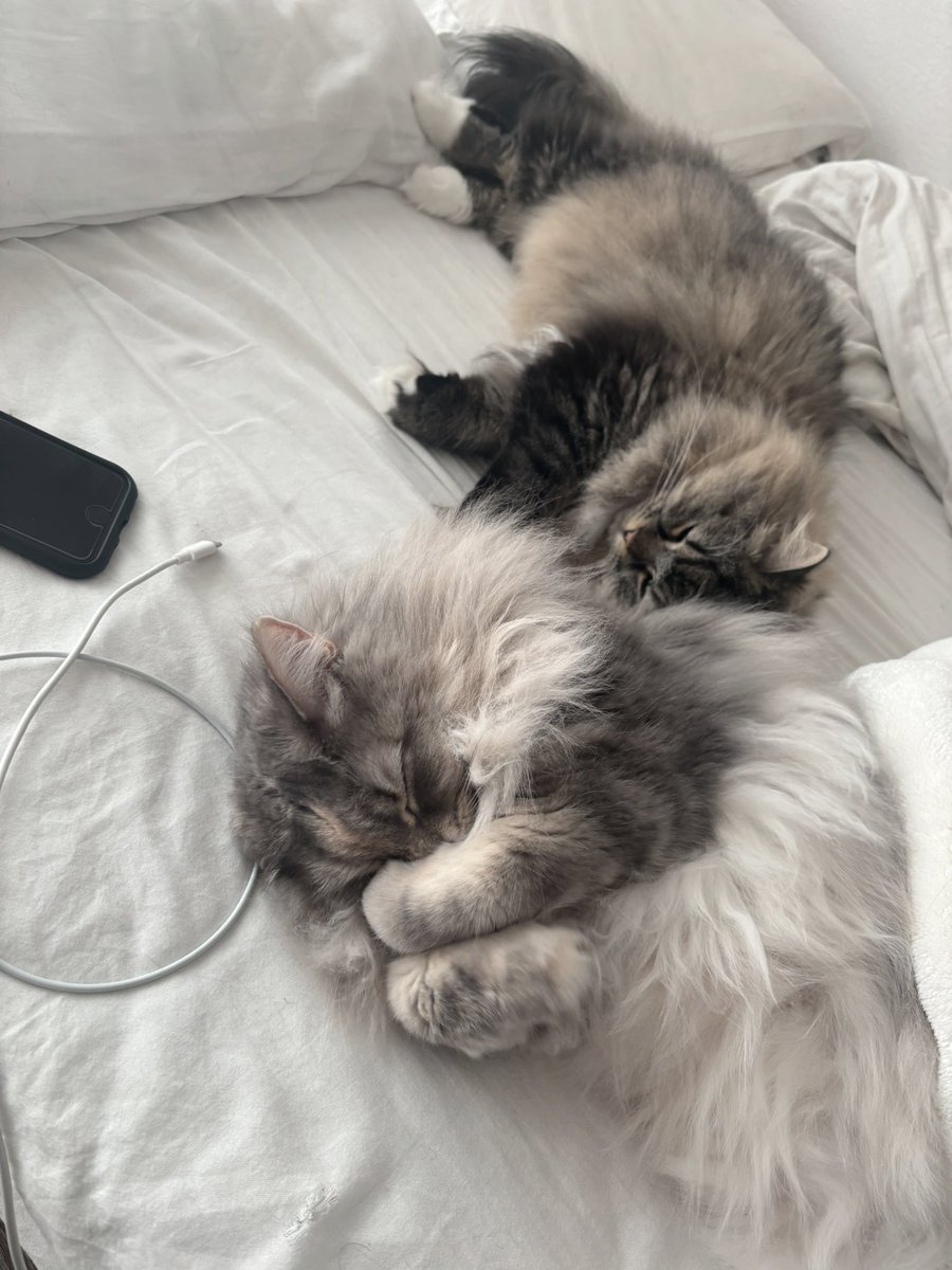 えたくん tweet media