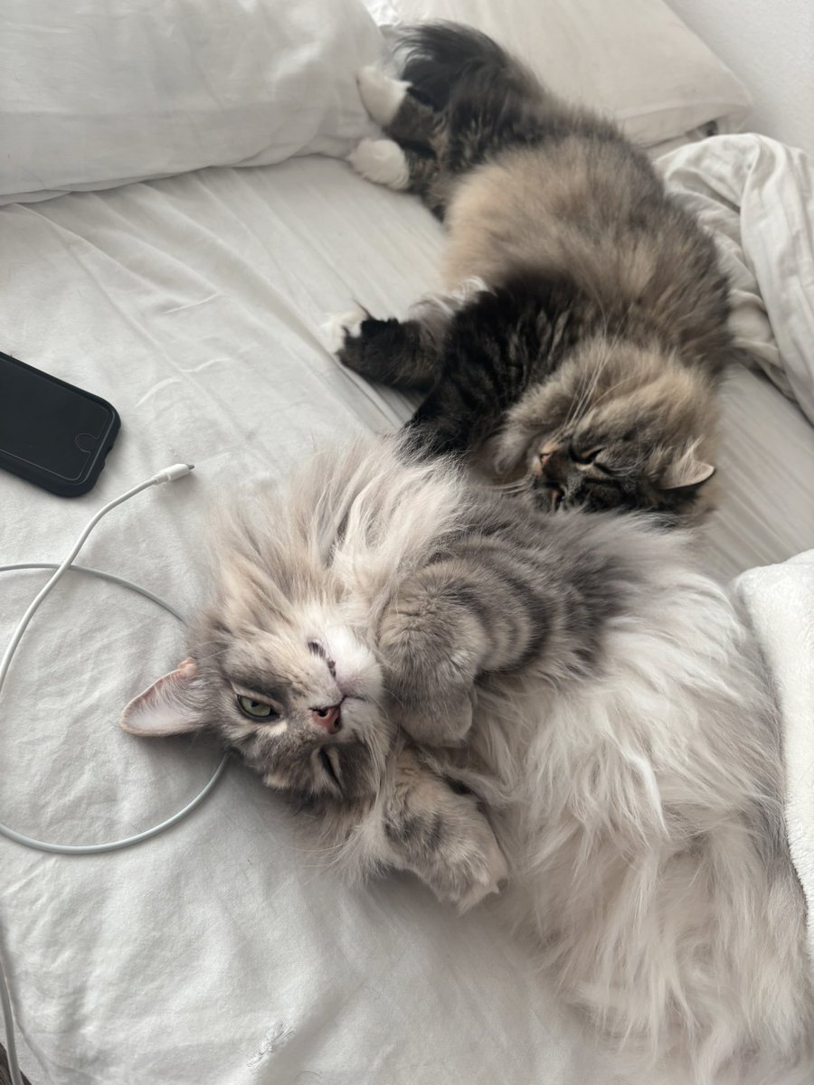 えたくん tweet media