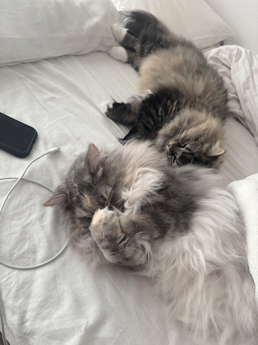 えたくん tweet media