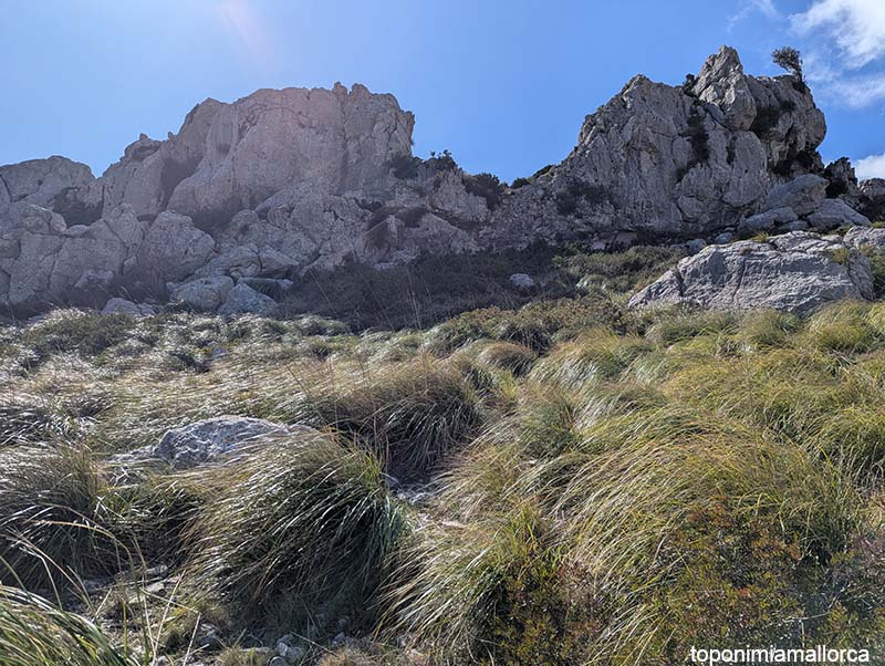 Miquel Àngel tweet media